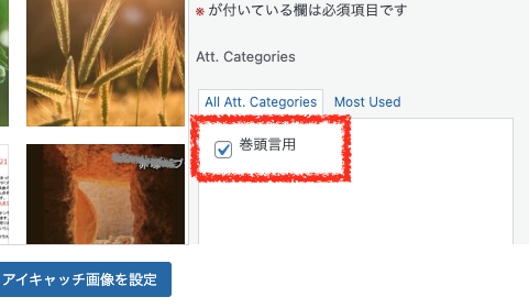 プラグインで画像カテゴリーが表示される